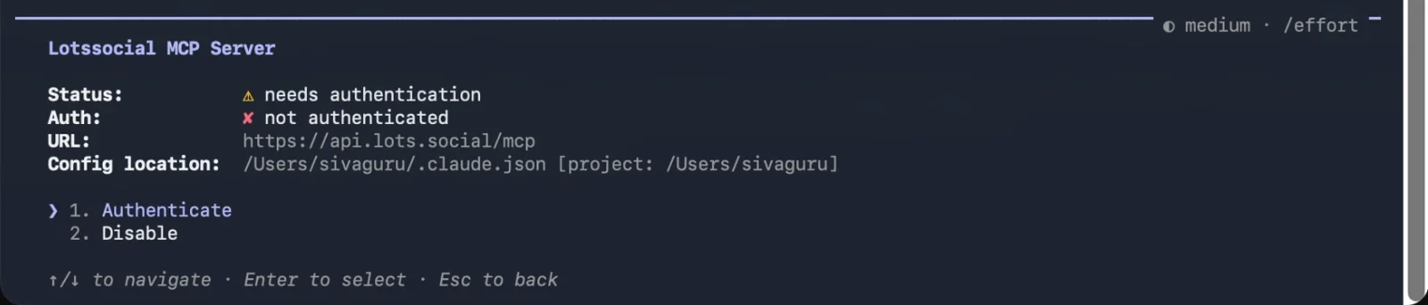 The lotssocial server in Claude Code's /mcp menu, with Authenticate selected